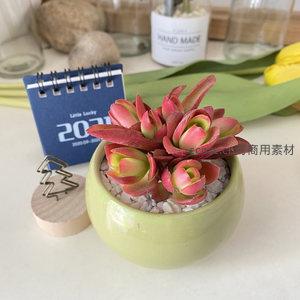 粉红系多肉与日历的温馨桌面摆设