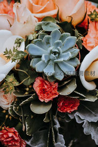 多肉融入花束，打造独特婚礼捧花