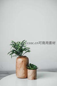 木质花瓶中的绿意盎然