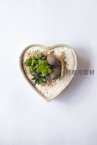爱心盆景中的迷你多肉，温馨浪漫装饰佳品