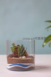 玻璃瓶中的微型沙漠景观