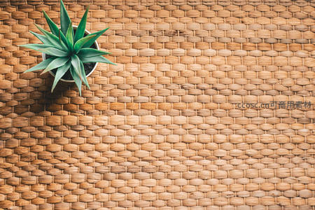编织垫上的龙舌兰俯拍构图