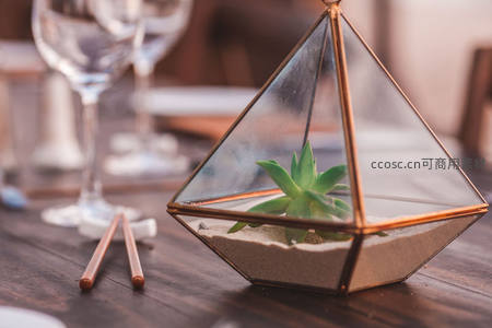 玻璃金字塔内精致多肉微景观
