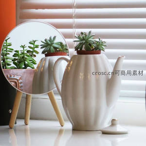 茶壶变身花盆，镜中倒影添雅致