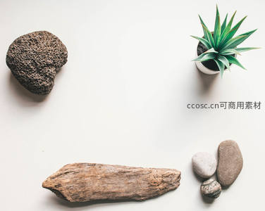 极简风仙人掌与天然石木摆设