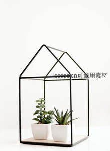 几何玻璃罩内的双盆多肉植物