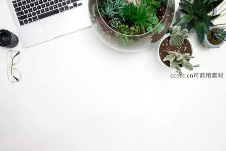 极简办公桌面，绿植点缀科技感工作空间