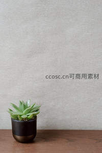 单盆多肉置于木质桌面，极简背景衬托