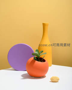 橙紫黄撞色花盆与绿植的静物摄影