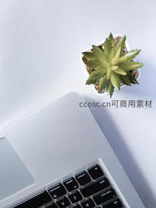 笔记本旁的绿色小盆栽点缀