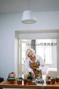 女子专注打理多肉植物盆栽