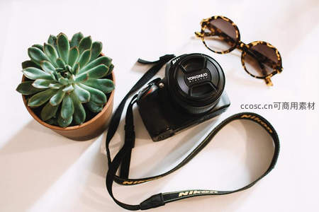 相机眼镜与多肉的文艺组合