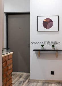 现代简约玄关设计搭配绿植点缀