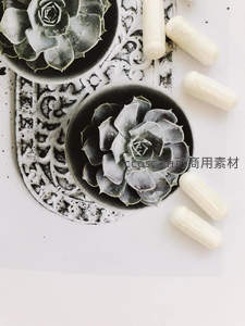 黑白艺术风格的多肉与胶囊