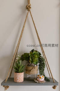悬挂式木架上的多肉组合装饰