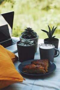 办公桌上的多肉与咖啡早餐