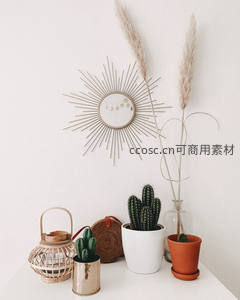 北欧风桌面仙人掌装饰组合