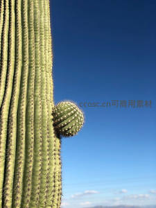 巨人柱与蓝天下的新生球体