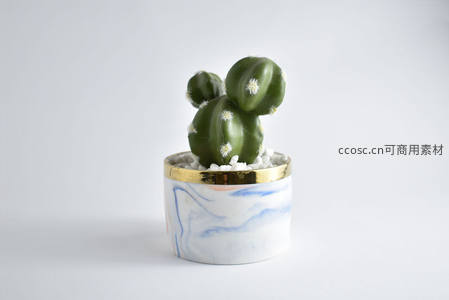 可爱小仙人掌盆栽摆件