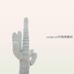 高耸仙人掌剪影于纯净天空