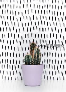 紫色花盆仙人掌，背景几何图案时尚
