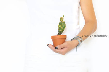 女性手中捧着的小型仙人掌盆栽