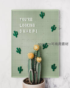 创意仙人掌装饰板搭配盆栽