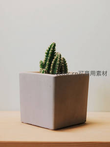 方正水泥盆中的翠绿仙人掌，极简主义风格