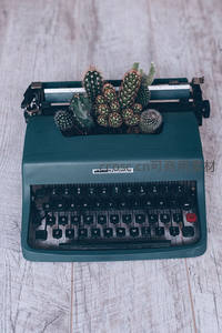 复古打字机上的迷你仙人掌盆景