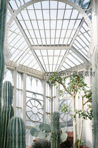 欧式玻璃温室内的仙人掌与绿植