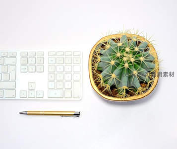 办公桌上的金色仙人掌盆栽