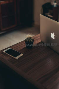 木质书桌上的仙人掌、手机与笔记本电脑
