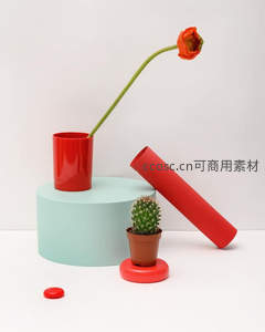 红花仙人掌静物艺术摆拍