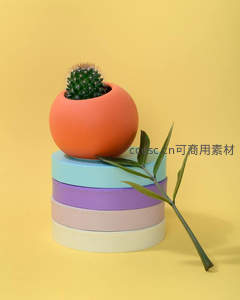 彩色圆柱上的球形仙人掌