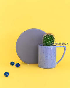 蓝杯仙人掌与几何装饰的静物组合