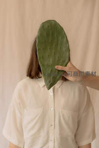 人物手持仙人掌叶片遮挡面部特写