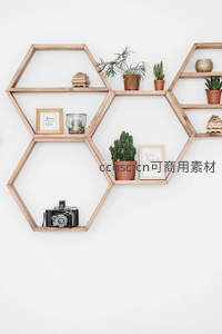 六边形木质置物架上的绿植与复古相机