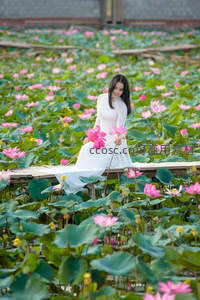 白衣女子坐于莲池木桥，手捧粉莲笑颜如花