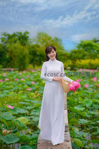 白裙佳人立木桥手提竹篮采莲