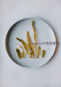 盘中干蕨叶构成简约自然装饰