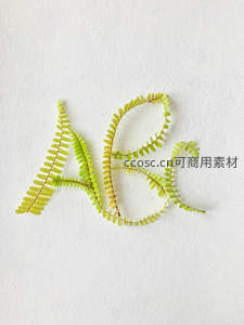 绿叶拼成艺术字母ABC，清新自然创意摆拍