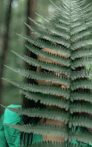 少女透过翠绿蕨叶凝视镜头的神秘瞬间