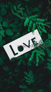 绿植丛中“Love”字样的浪漫点缀