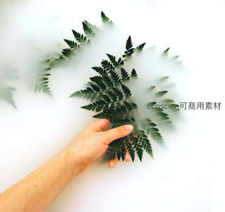 手捧蕨叶，白雾缭绕如仙境
