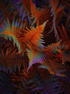 幻彩蕨叶的抽象艺术构图