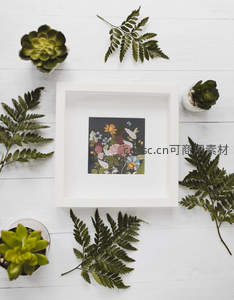 白色木板上，蕨叶与多肉的静物美学