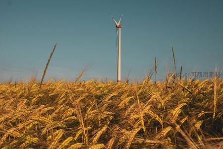 麦田中的现代风力发电机剪影