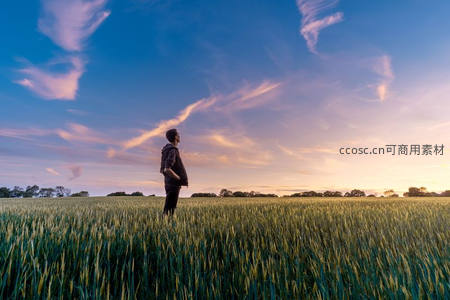 夕阳下青年伫立麦田仰望天空