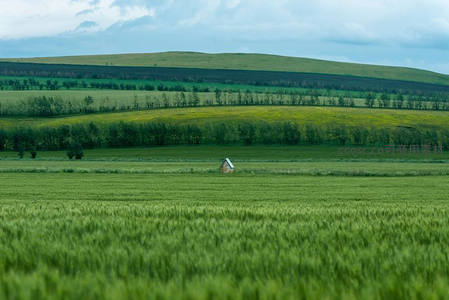 绿野仙踪中的孤屋与层叠梯田