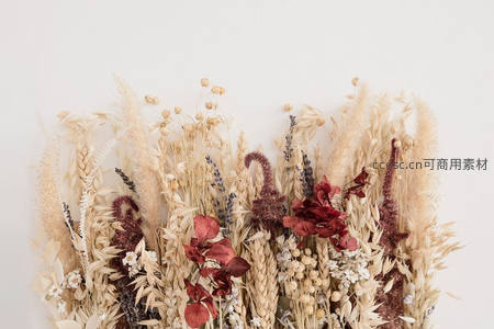 干花艺术组合，自然与美学的完美融合